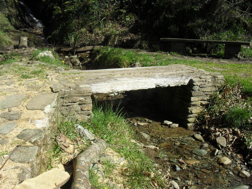 Pension La Posada Tineo Luaran gambar